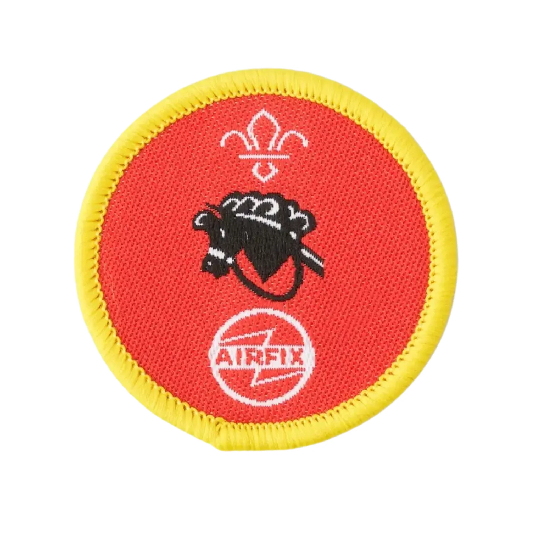 Cubs Hobbies Activity Badge