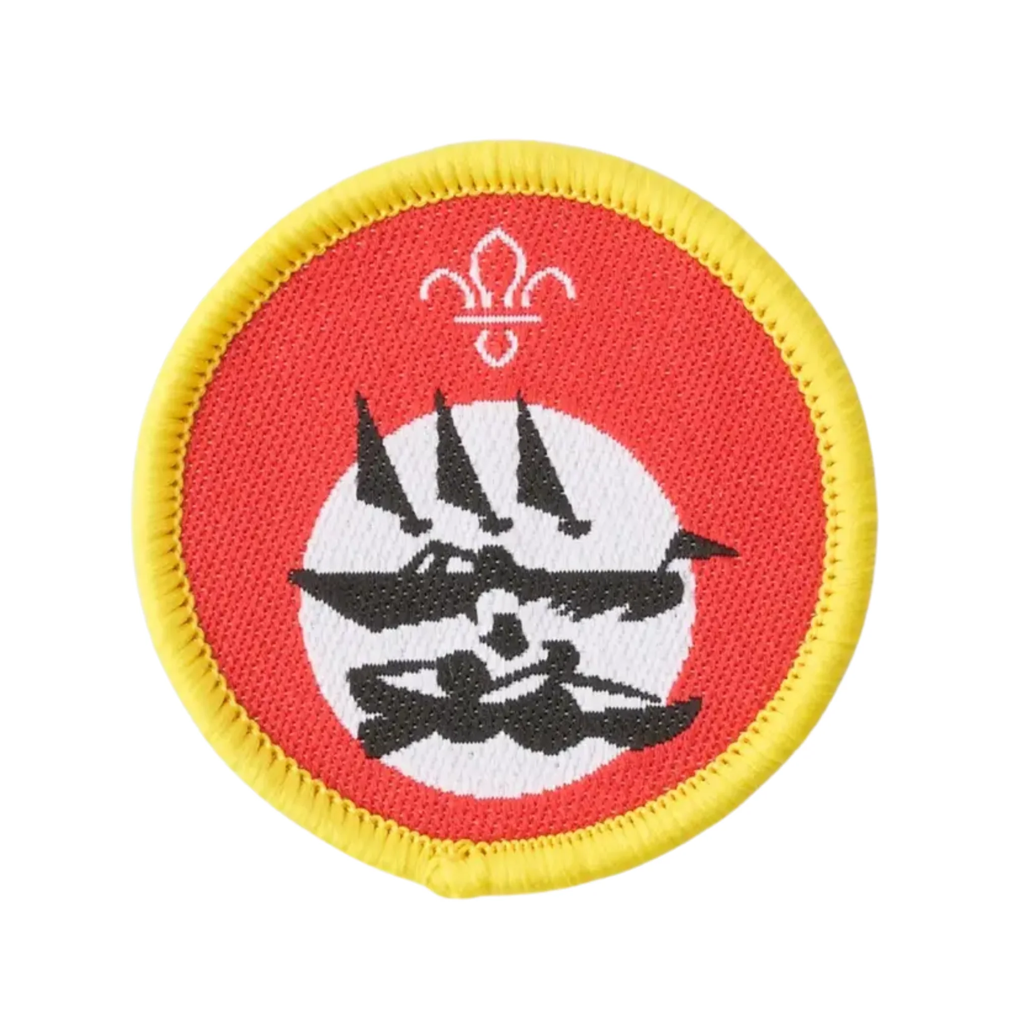 Cubs Water Activities Activity Badge