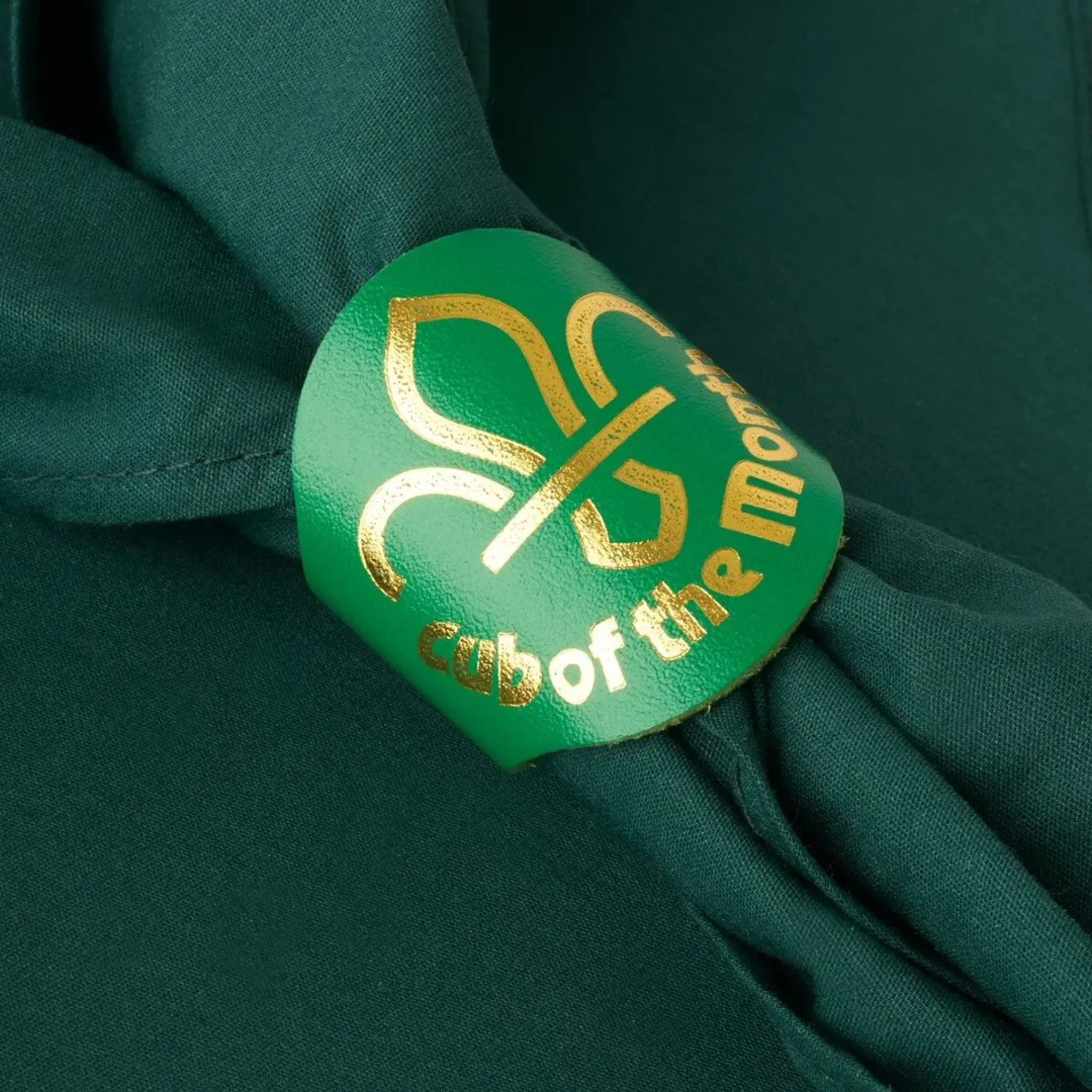 Cub of the Month - Woggle - Image 3