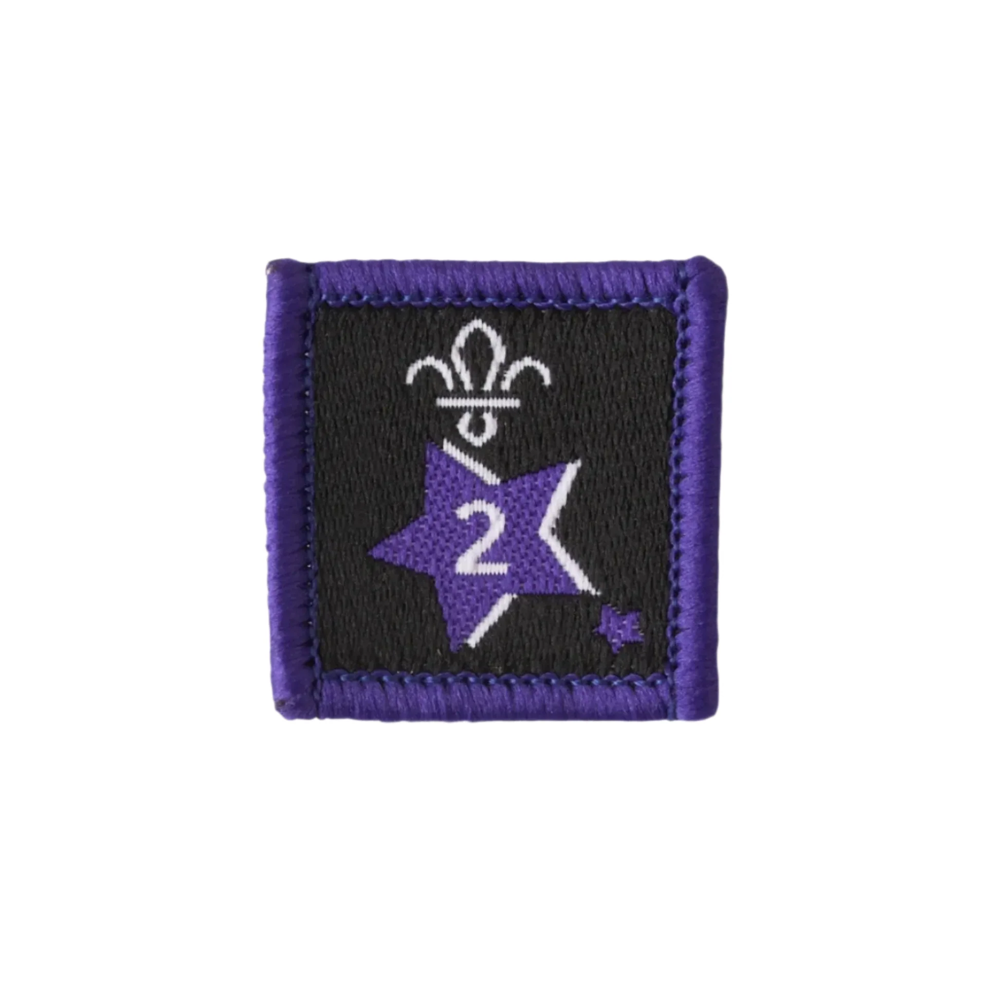Joining in Award Badge 2