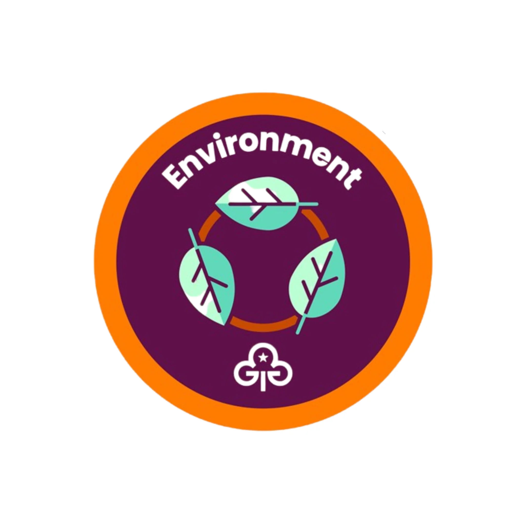 Rangers Environment woven badge