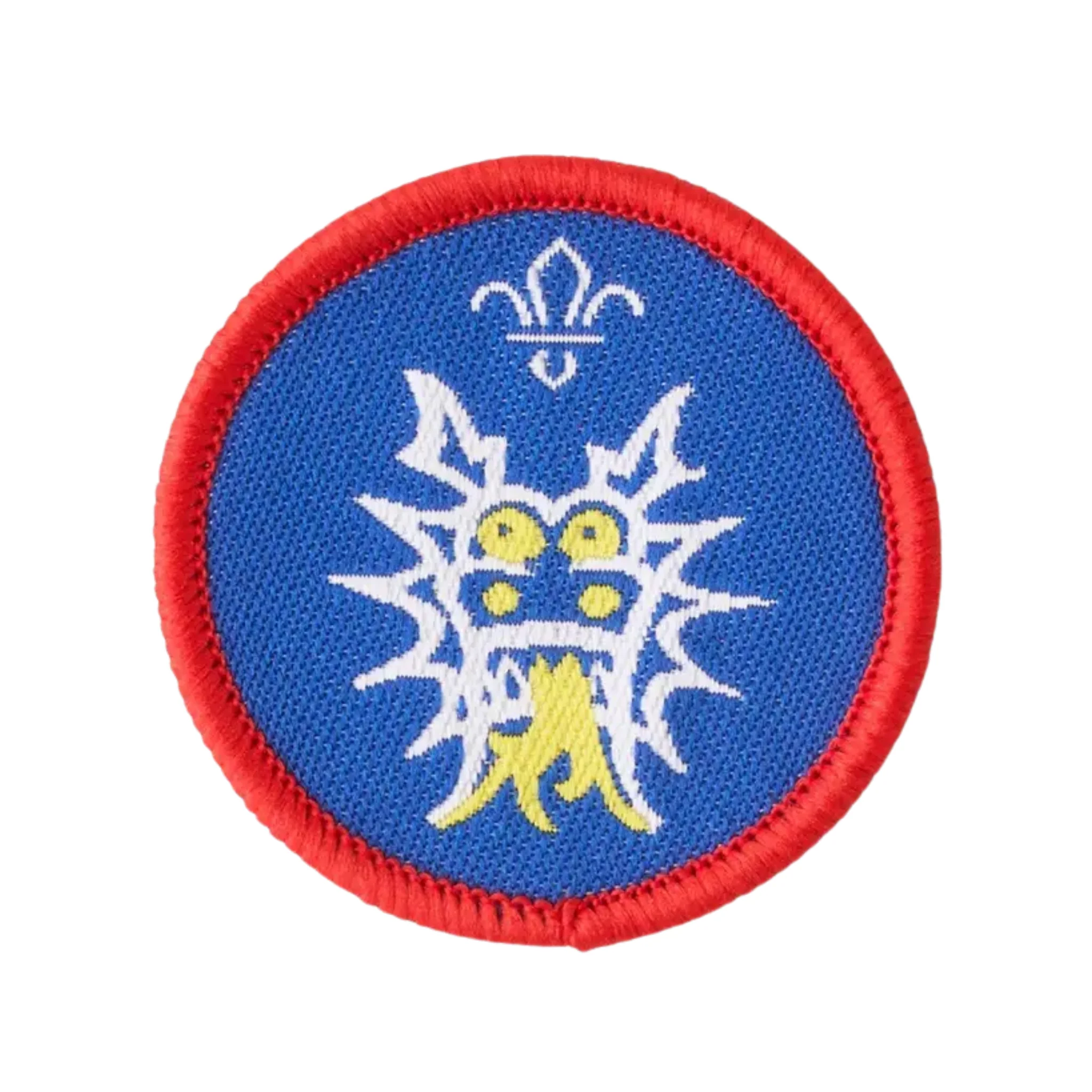 Scouts Dragon Boating Activity Badge - Pack of 25