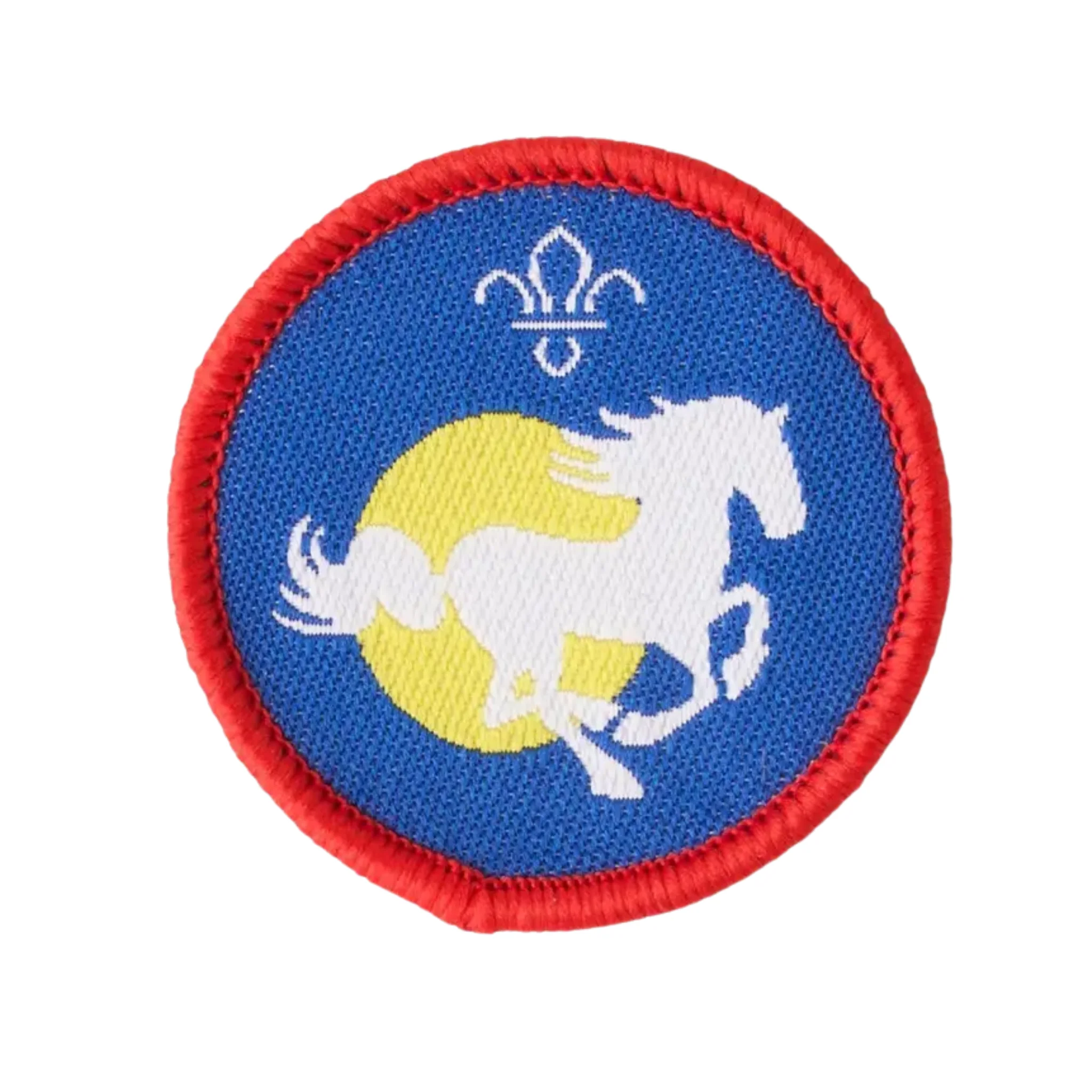Scouts Equestrian Activity Badge - Pack of 25