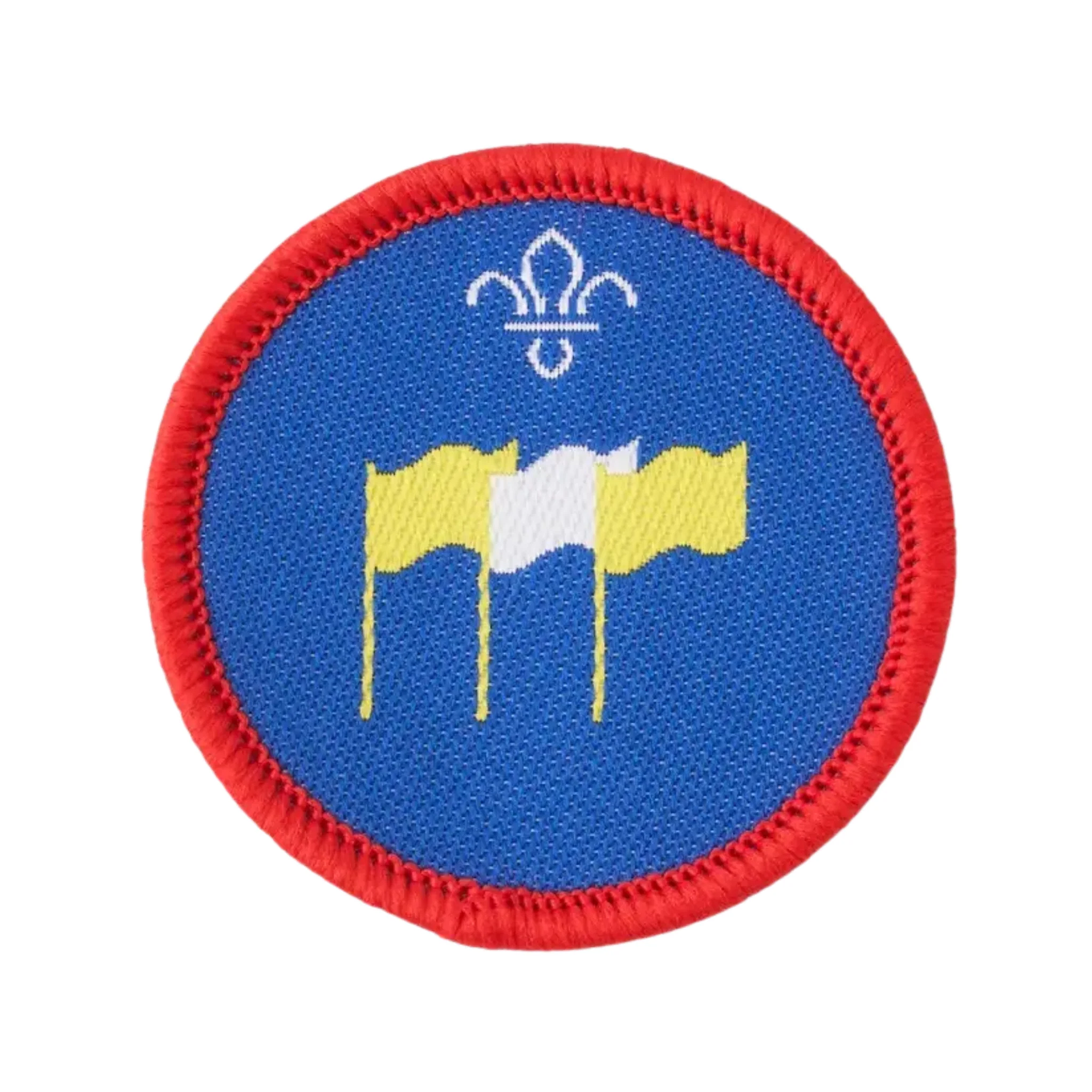 Scouts International Activity Badge - Pack of 25