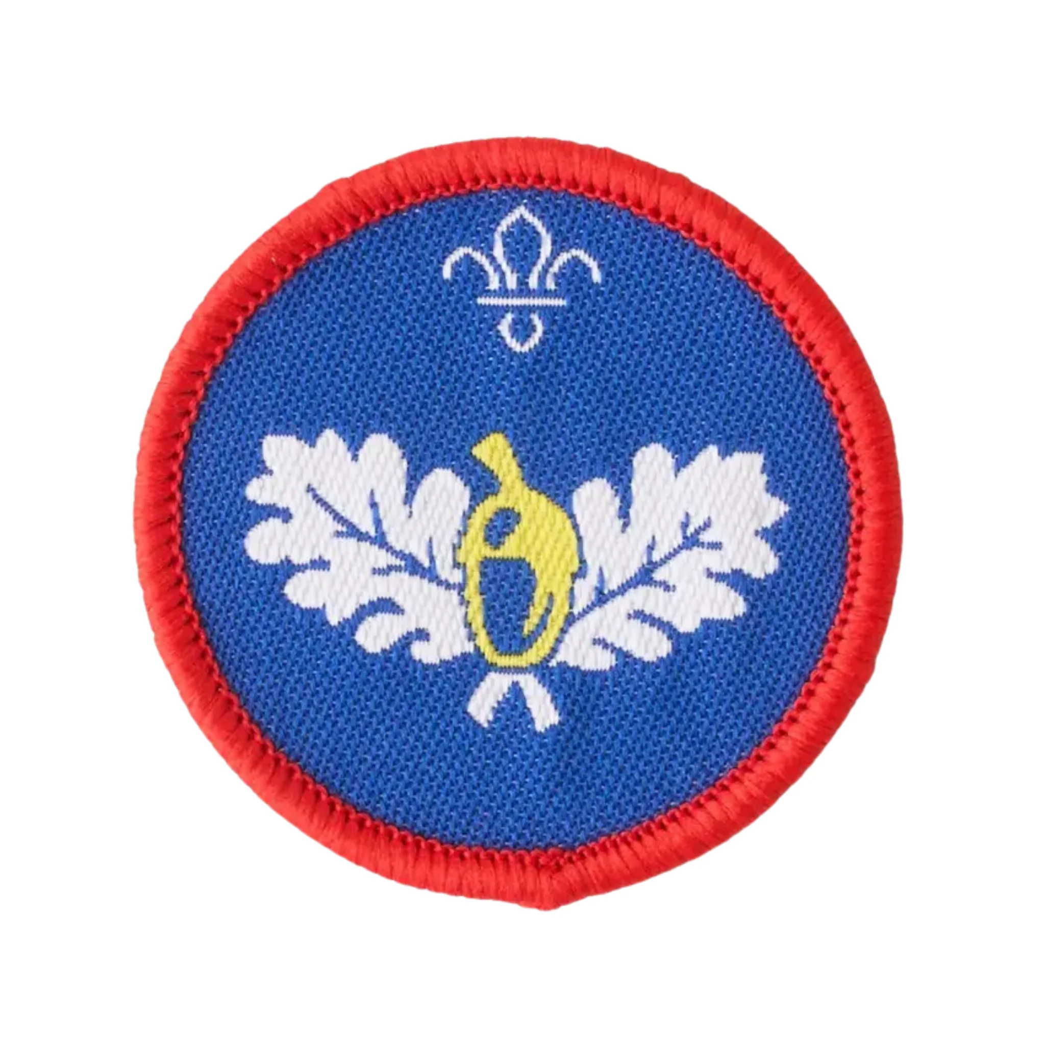Scouts Naturalist Activity Badge - Pack of 25