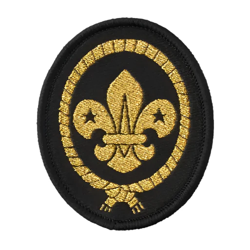 Sea Scout Cap Badge - Pack 25