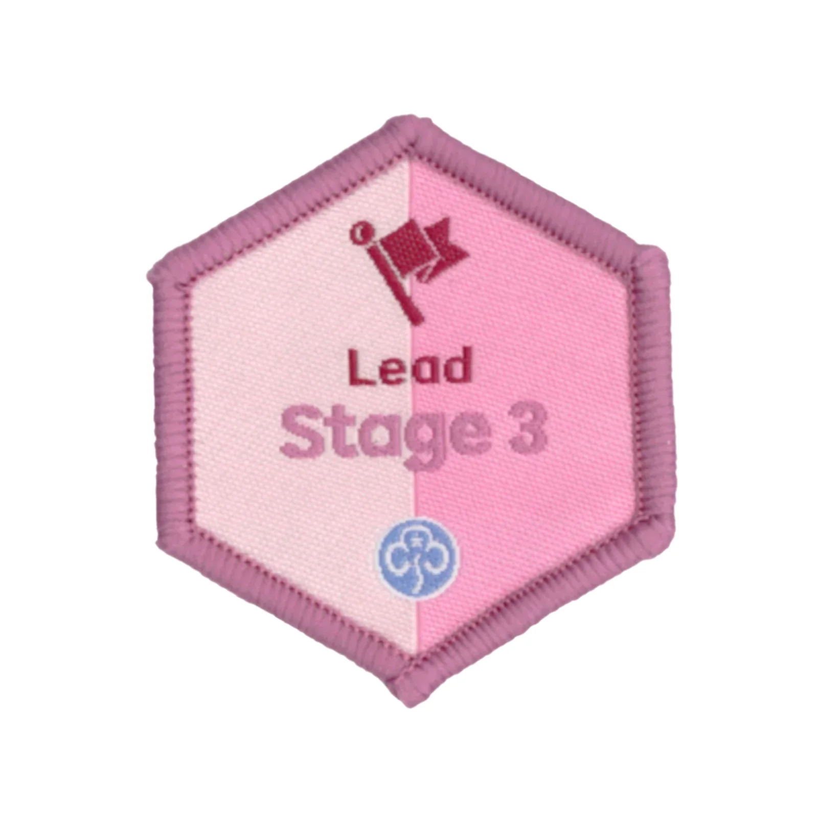Skills builder - Lead (Stage 1 -6) - Image 3