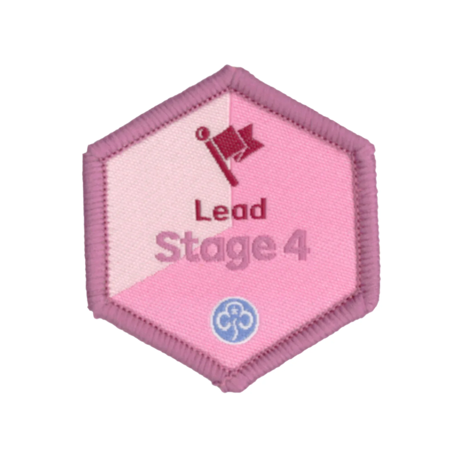 Skills builder - Lead (Stage 1 -6) - Image 4