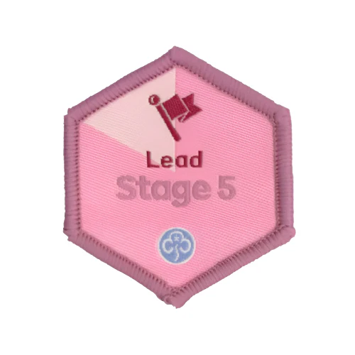 Skills builder - Lead (Stage 1 -6) - Image 5