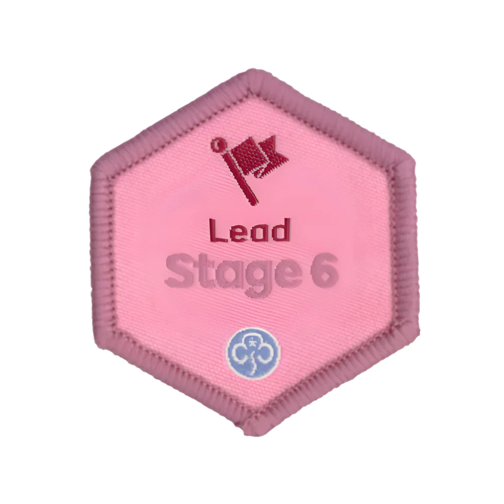 Skills builder - Lead (Stage 1 -6) - Image 6
