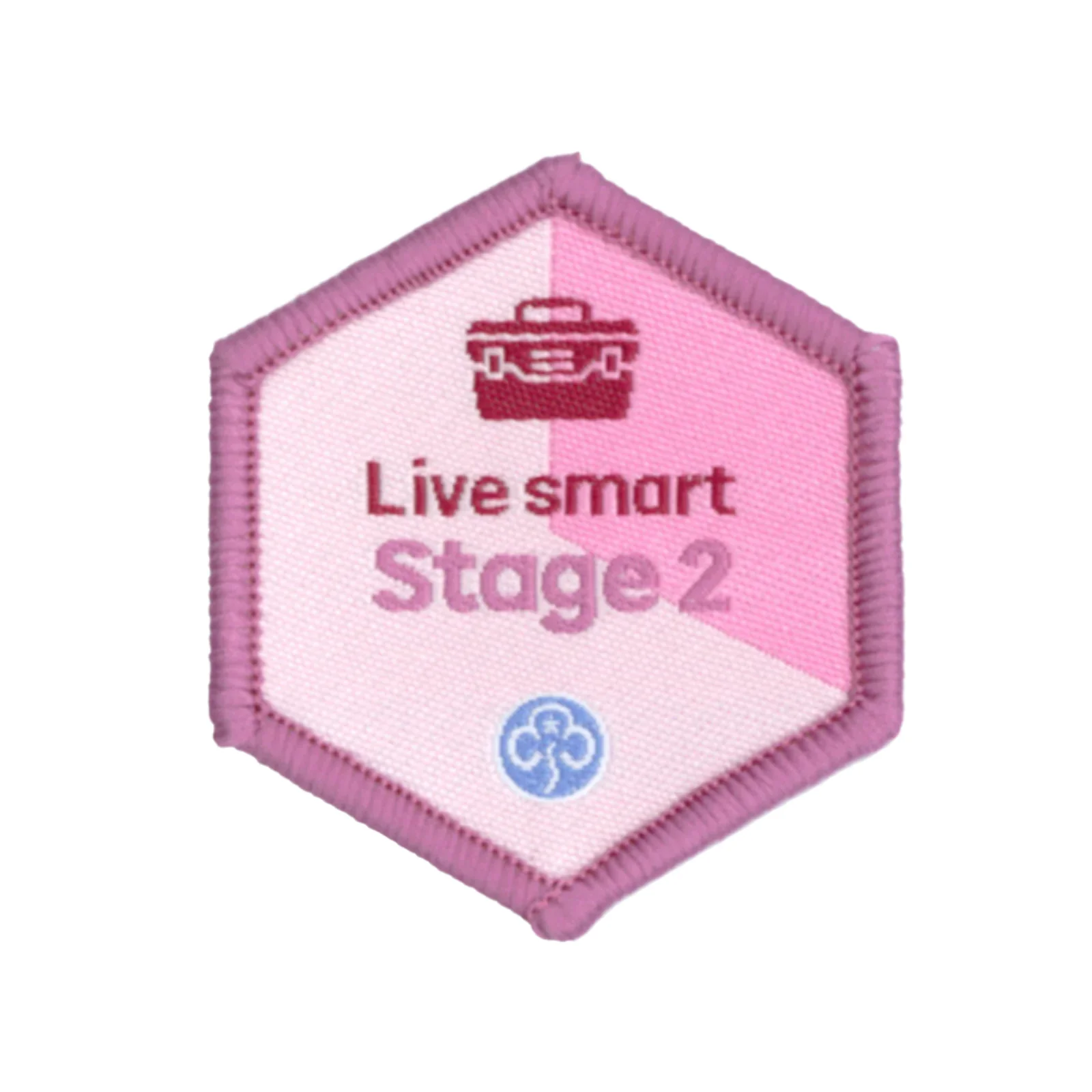 Skills builder - Live smart (Stage 1-6) - Image 3