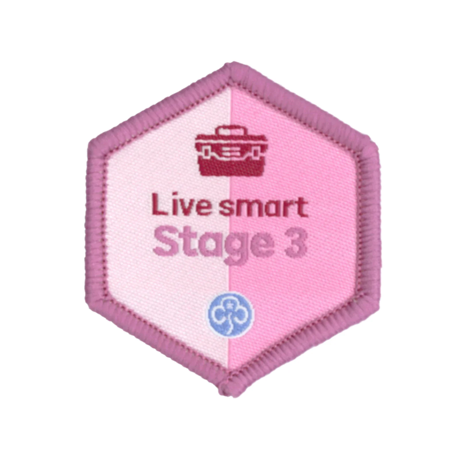 Skills builder - Live smart (Stage 1-6) - Image 4