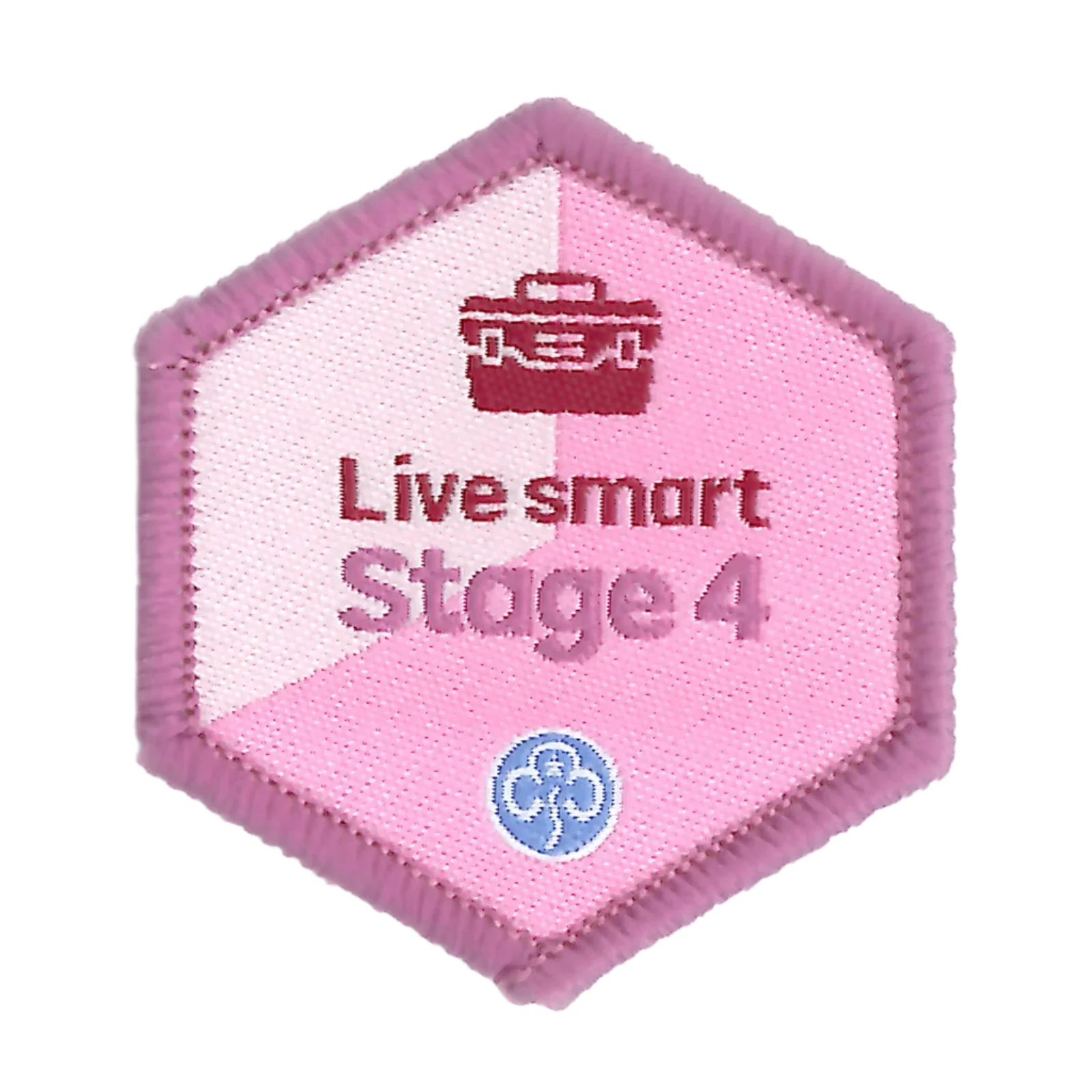 Skills builder - Live smart (Stage 1-6) - Image 5
