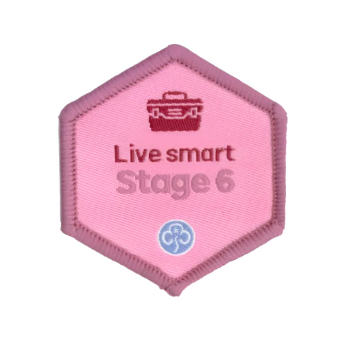 Skills builder - Live smart (Stage 1-6) - Image 7